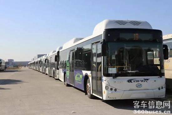 1750640220455483.jpg 7.jpg