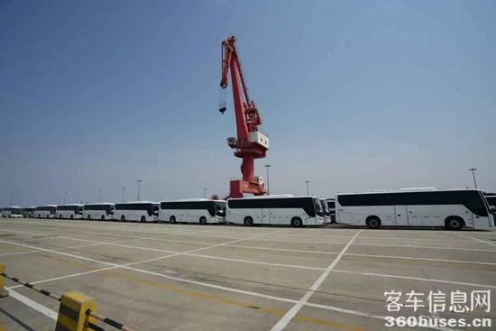 1750745008213935.jpg 3.jpg