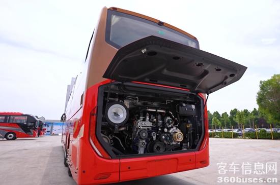 1750981716104547.jpg 3.jpg