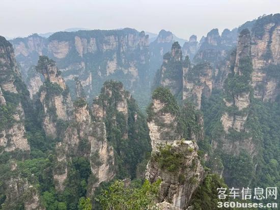 1751347421361554.jpg 1.jpg