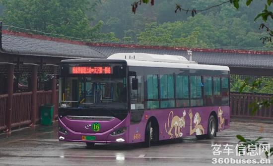 1751347428660340.jpg 2.jpg