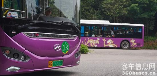 1751347539526391.jpg 3.jpg