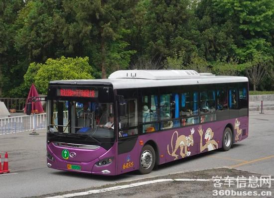 1751347546107236.jpg 4.jpg