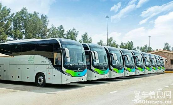 1752545372491595.jpg 1.jpg