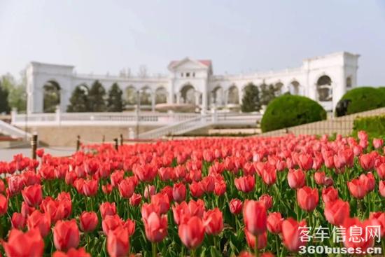 1753768258869654.jpg 3.jpg