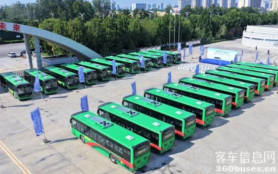 1755823718254780.jpg 1.jpg