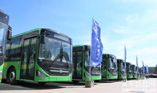 1755823772110825.jpg 10.jpg