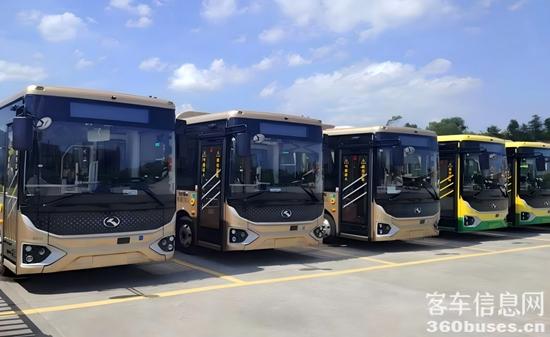 1756863543278323.jpg 3.jpg