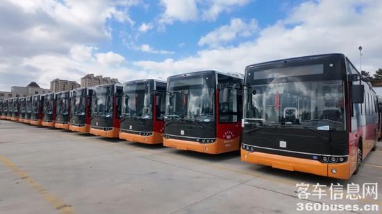 1762395921814637.jpg 1.jpg