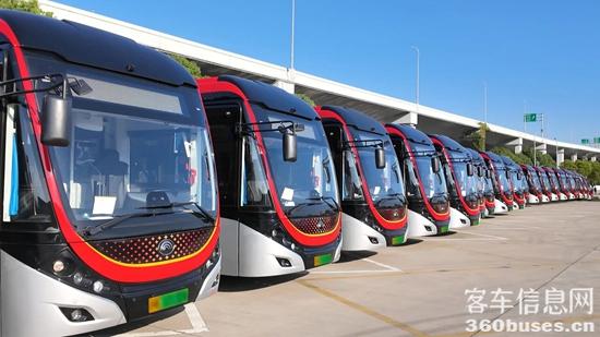 1762742841687096.jpg 6.jpg