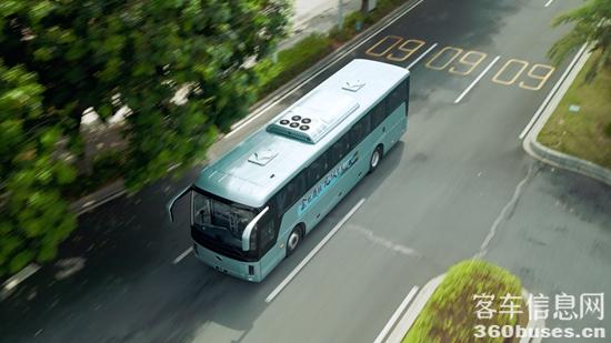 1762995124906775.jpg 2.jpg