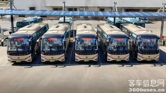 1763375576445814.jpg 2.jpg