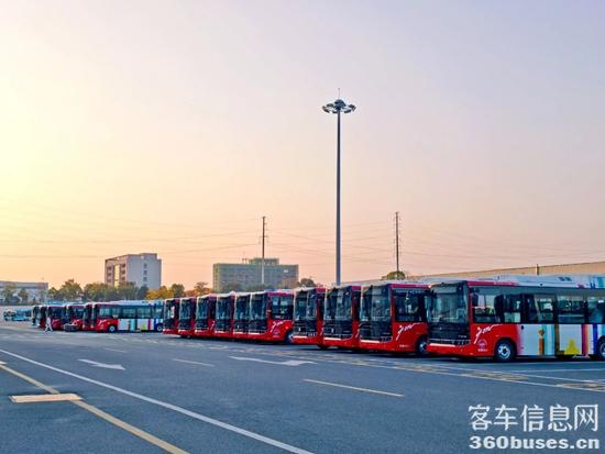 1763437262683786.jpg 12.jpg