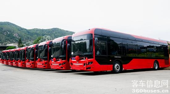 1763517120485318.jpg 2.jpg