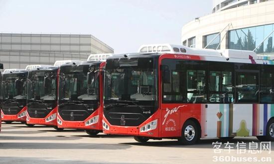 1763636300560379.jpg 1.jpg