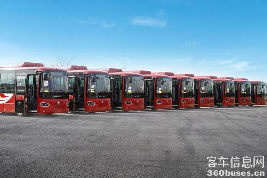 1763695995814053.jpg 4.jpg