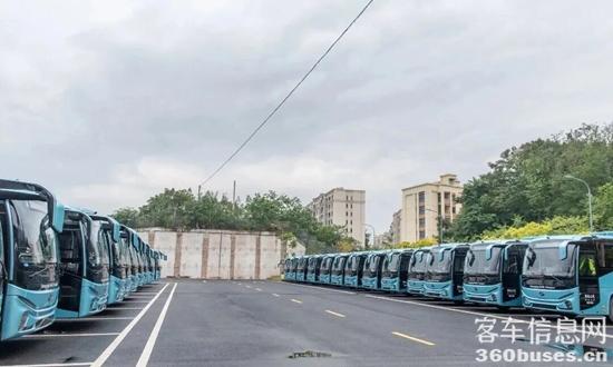 1764557365621318.jpg 1.jpg