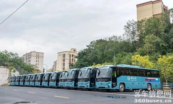 1764557384965795.jpg 3.jpg