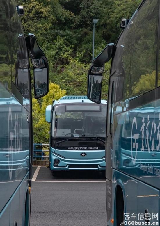 1764557391278115.jpg 4.jpg