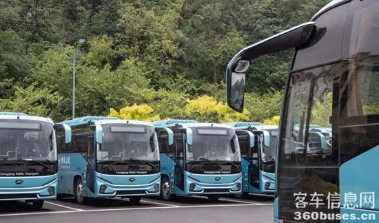 1764557408742988.jpg 6.jpg