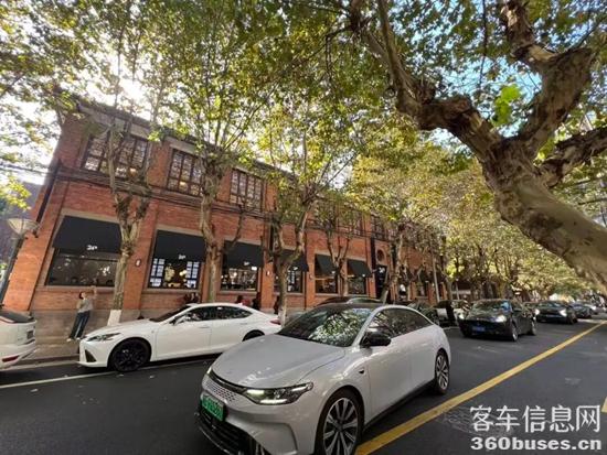 1764645800387124.jpg 2.jpg