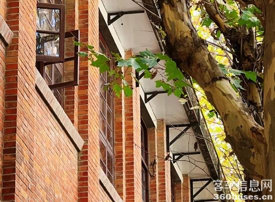 1764645834730115.jpg 4.jpg