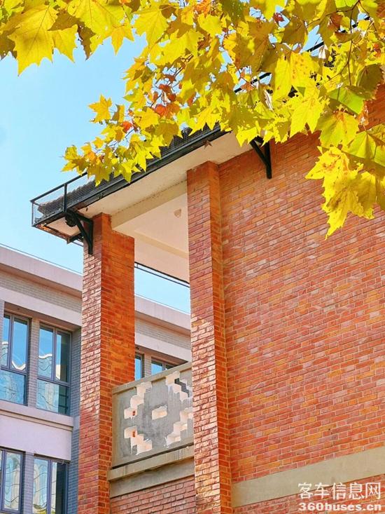 1764645936718943.jpg 9.jpg