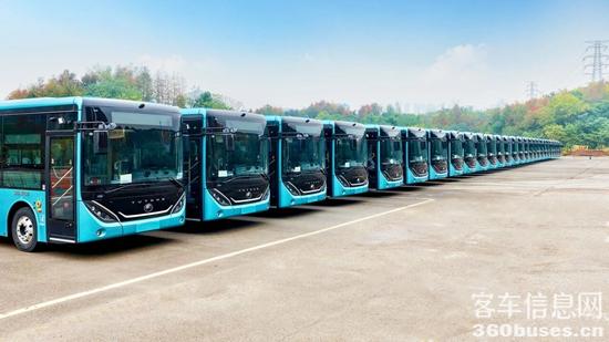 1765509324931194.jpg 2.jpg