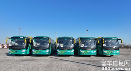 1765765578391672.jpg 5.jpg