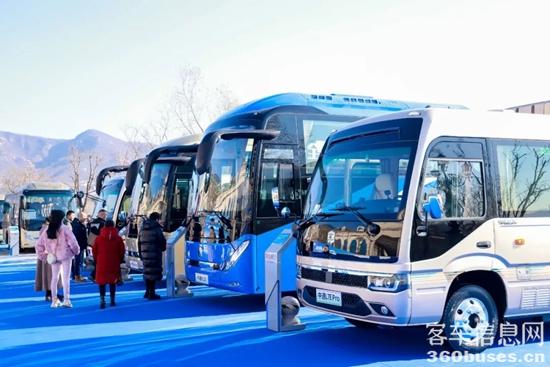 1765853720597173.jpg 11.jpg