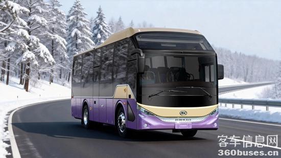 1766113123266460.jpg 8.jpg