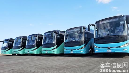 1766125767755339.jpg 3.jpg