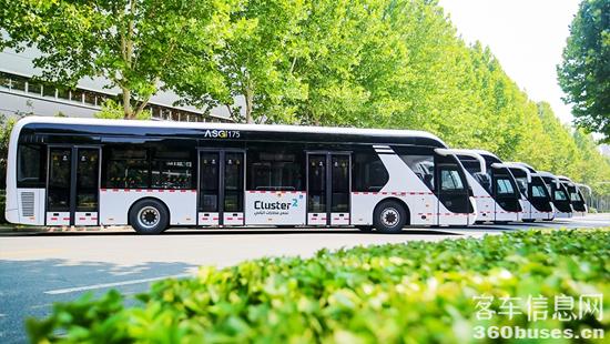 1766125808326392.jpg 7.jpg