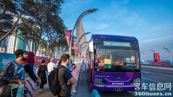 1766398363124711.jpg 7.jpg