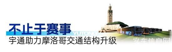 1766398387962556.jpg 9.jpg