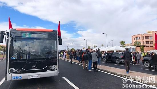 1766398398914088.jpg 10.jpg