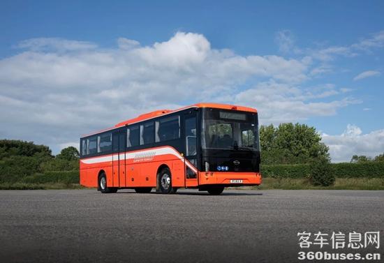 1766476767396645.jpg 1.jpg