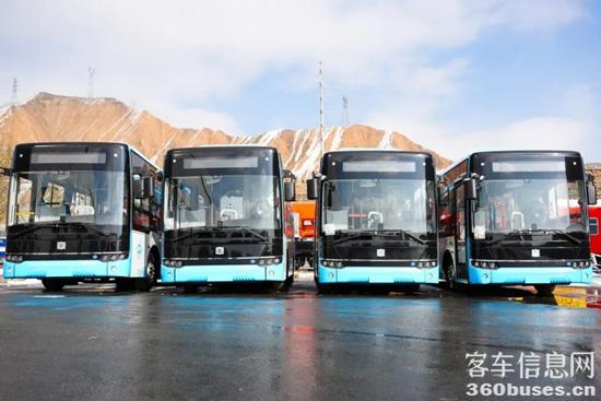 1766624559567869.jpg 2.jpg