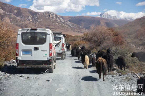 1766625379361097.png 圖片3.png