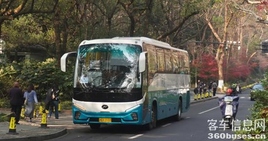 1767148886909847.jpg 1.jpg