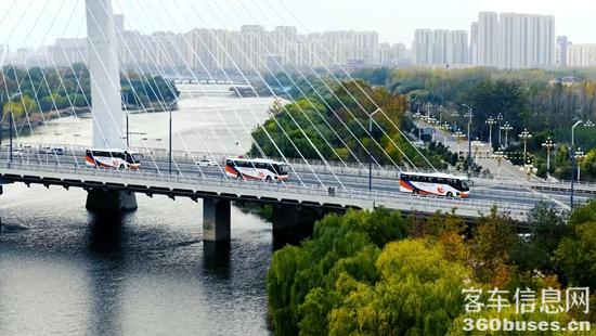 1767930333116383.jpg 4.jpg