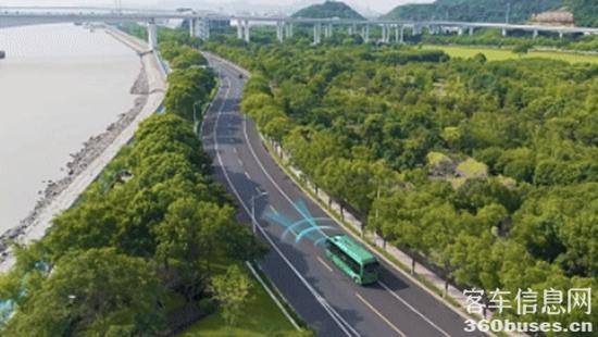 1768181044723649.jpg 2.jpg