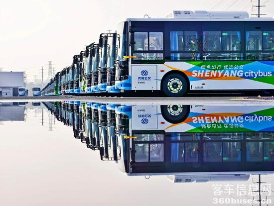 1768207762789811.jpg 3.jpg