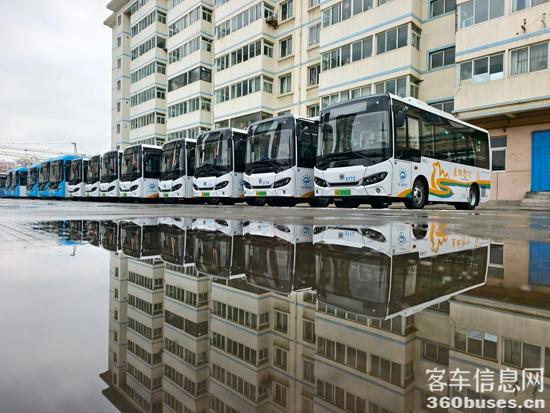 1768207770385390.jpg 4.jpg