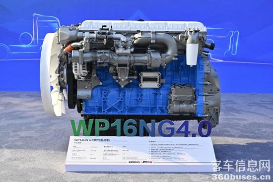 1769494637650421.jpg 2.jpg