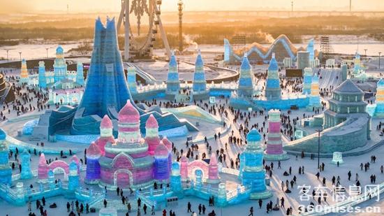 1769648226574392.jpg 2.jpg