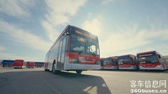 1769999949676143.jpg 5.jpg