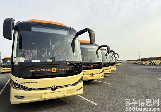 1770004095662121.jpg 3.jpg