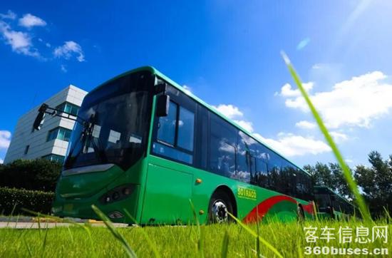 1770004248698752.jpg 6.jpg