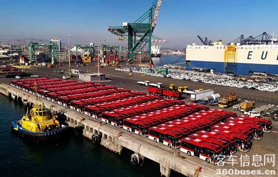 1772076431433444.jpg 1.jpg